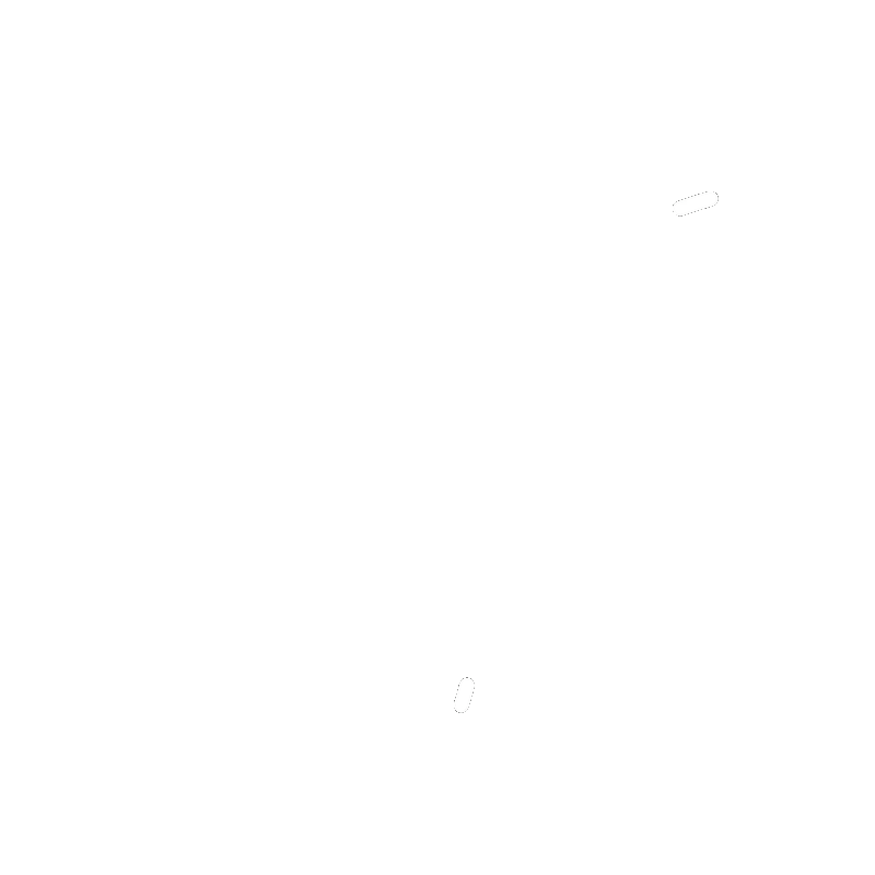 Leen Hospital Logo